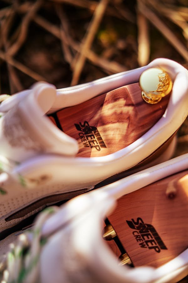 Embauchoirs pour chaussures : le guide des meilleurs choix